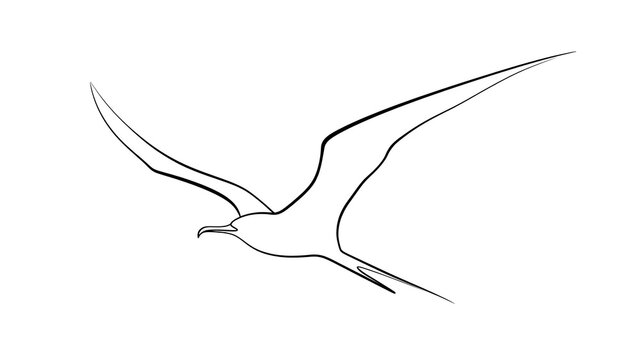Minimalist bird drawing on white background.
