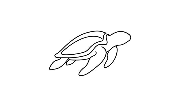 Minimalist turtle line drawing on white background.