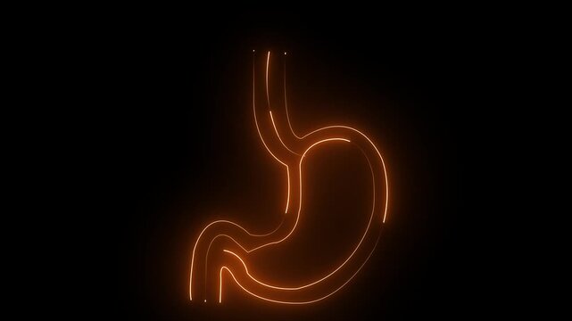 Glowing Neon Stomach Icon &ndash; Digestive System and Gastro Health acid reflux concept ulcer problem digestion process human anatomy icon 4k video on black background,,,