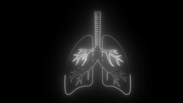 Glowing  neon human lung icon animation video on black background. Human respiratory system, lungs, anatomy, and animation. 