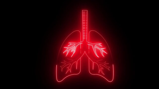 Glowing red neon human lung animated video on black background. Human respiratory system, lungs, anatomy, and animation. 