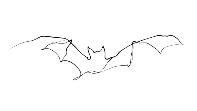 Minimalist bat line drawing on white background.