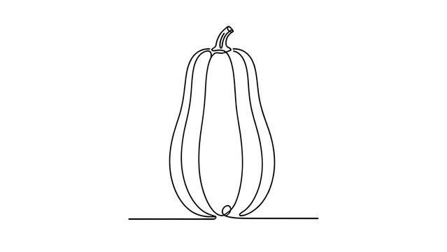 Minimalist squash line art illustration white background.