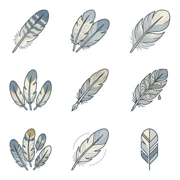 Set of decorative bird feather hand drawn graphic icons for creative design projects and artistic illustration elements