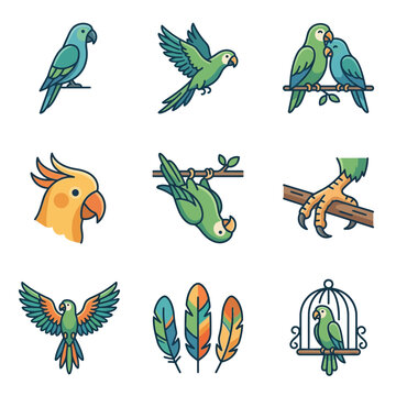 A set of colorful parrot icons depicting avian actions and bird features in a flat graphic illustration style