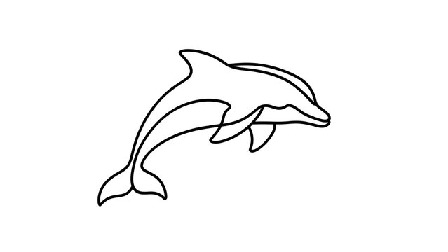 Playful dolphin illustration on white background.