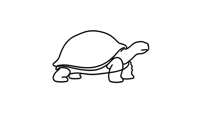 Simple turtle line drawing on white background.