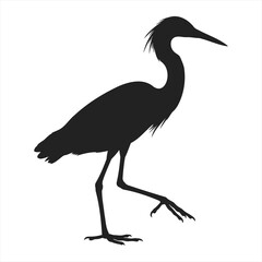 Obraz premium Black silhouette vector illustration of a heron walking on white background