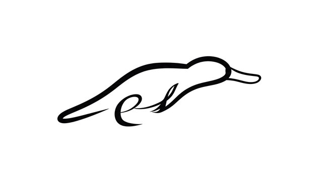 Minimalist duck line art illustration white background.