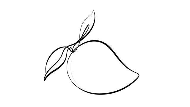 Simple mango line drawing illustration white background.