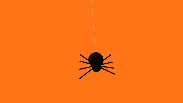 Black spiders sliding on silk threads against orange background with spooky minimalist motion for seasonal marketing