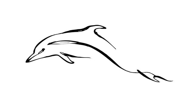 Elegant dolphin line art illustration white background.