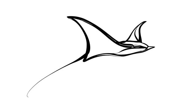 Minimalist manta ray line art white background.