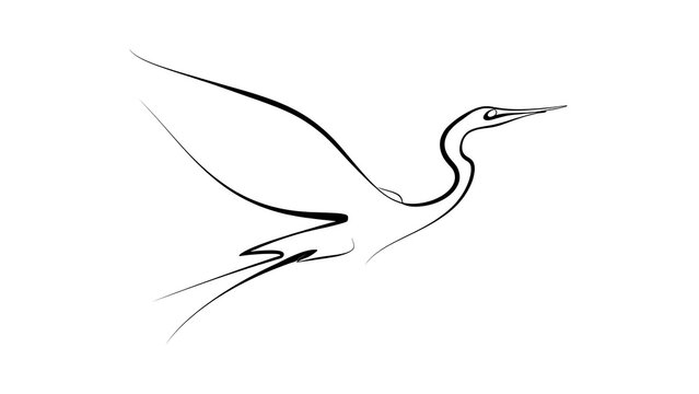 Elegant heron line art illustration white background.