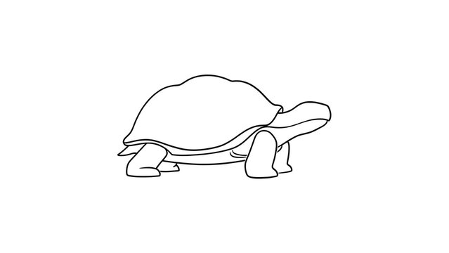 Simple turtle line drawing on white background.