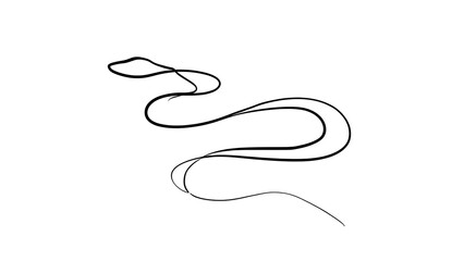 Obraz premium Elegant flowing line art on white background.