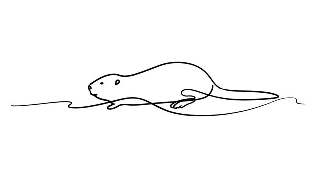 Beaver line drawing illustration white background.