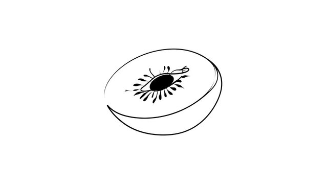 Halved kiwi fruit slice white background.