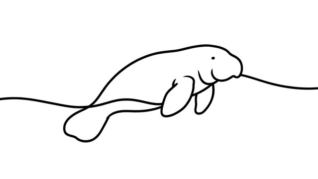 Minimalist manatee line art illustration white background.