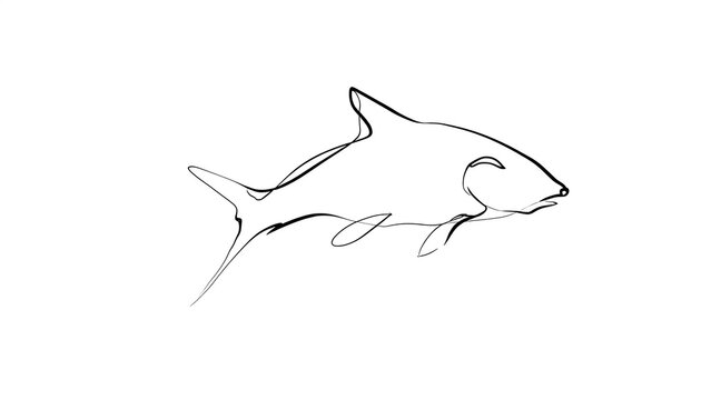 Minimalist shark drawing on white background.