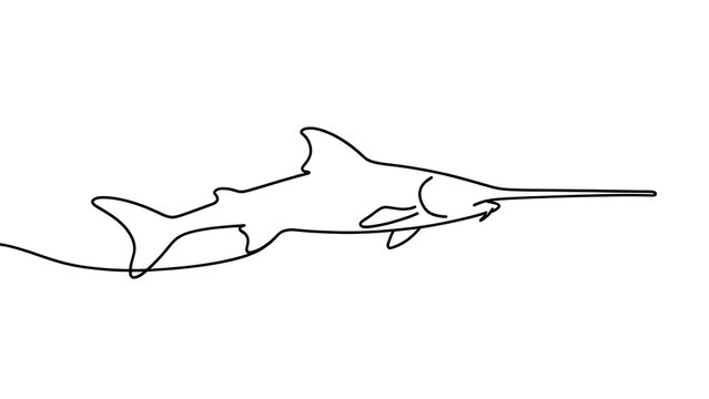 Sawfish line drawing on white background.
