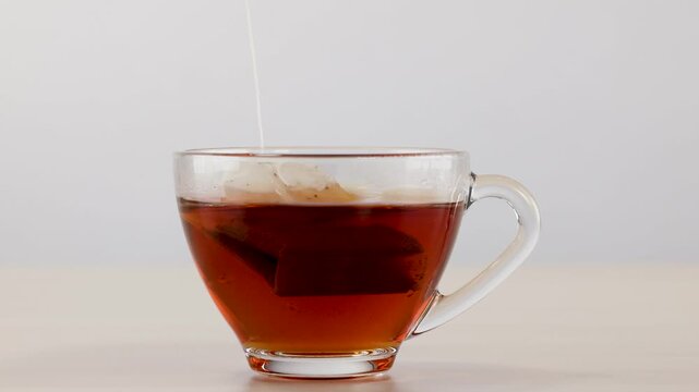 Black Tea Bag Steeping in Transparent Glass Cup