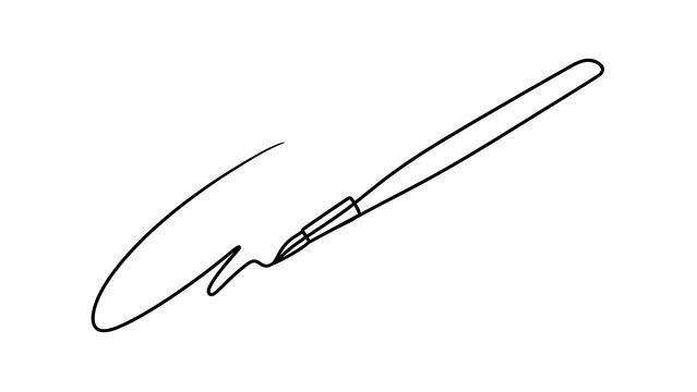 Elegant handwritten signature on white background.