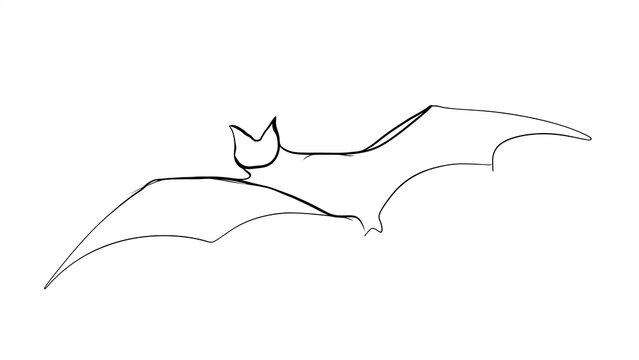 Minimalist bat line art illustration white background.