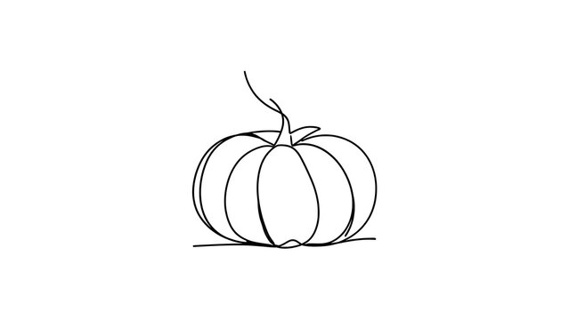Minimalist pumpkin line drawing on white background.
