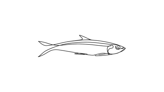 Simple line drawing of a fish on white background.
