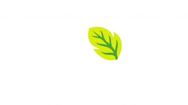 Yellow green leaves fluttering down with realistic shadow layer Prores Alpha 4K 60 fps