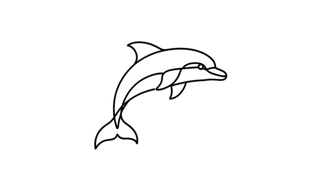 Playful dolphin illustration on white background.