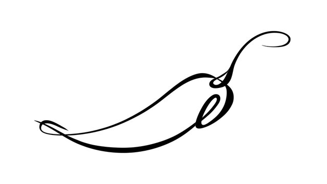 Elegant black line art chili pepper white background.