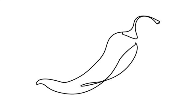 Minimalist chili pepper line art white background.