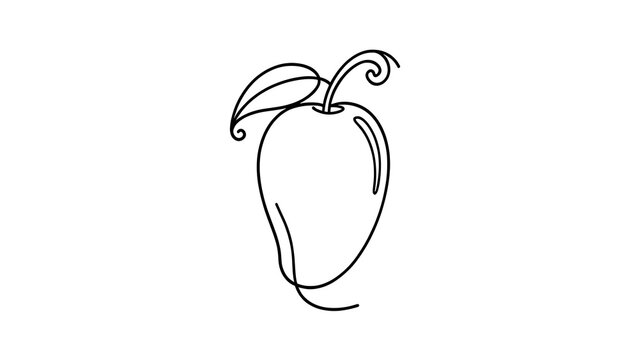 Minimalist mango line art illustration white background.