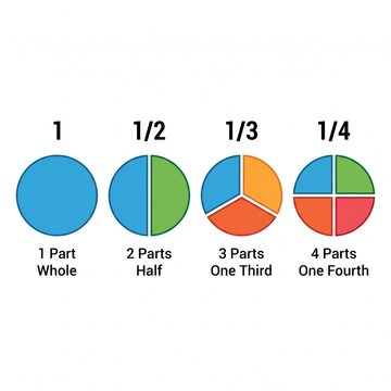 Circle divided into 1, 2, 3, 4 equal segments. two, three, four parts. half, one third and one fourth fraction circle, vector isolated on white