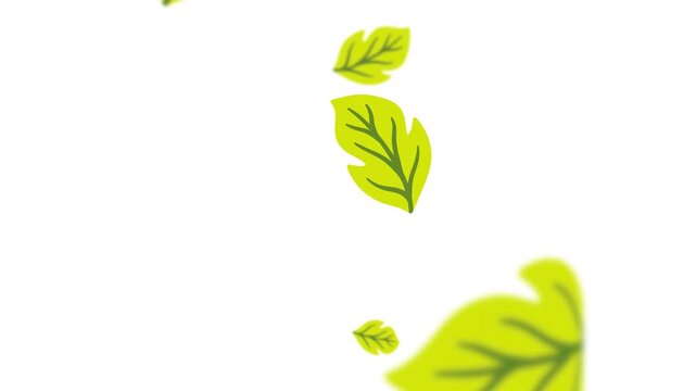 Multiple cartoon leaves floating gently across transparent video background Prores Alpha 4K 60 fps