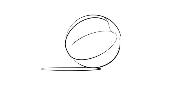 Basketball sketch illustration on white background.