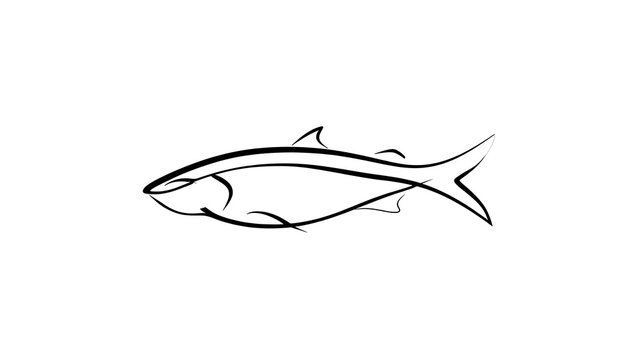 Minimalist fish line art illustration white background.