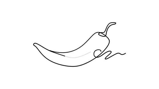 Hand drawn chili pepper illustration white background.