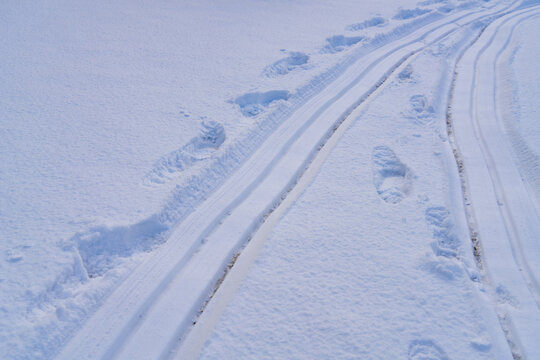 Parallel Tracks and Footprints Across Fresh Snow