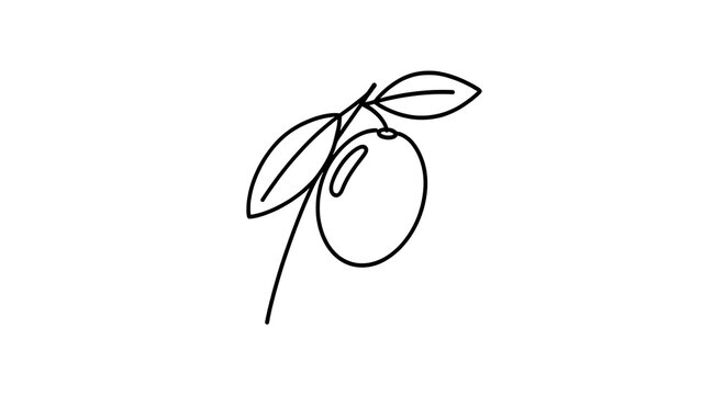 Minimalist olive branch drawing white background.