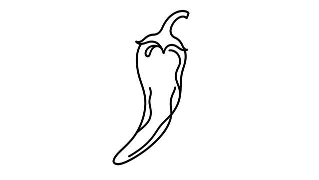 Simple chili pepper line art illustration white background.