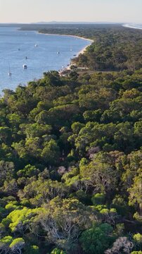 Aerial View of South Stradbroke Island Coastal Forest and Waterway