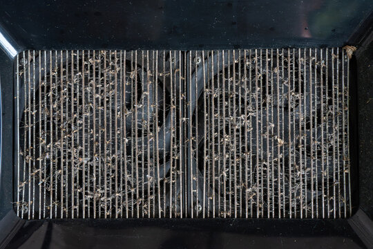 Dusty Mosquito Trap Vent Grille Filled with Dead Insects