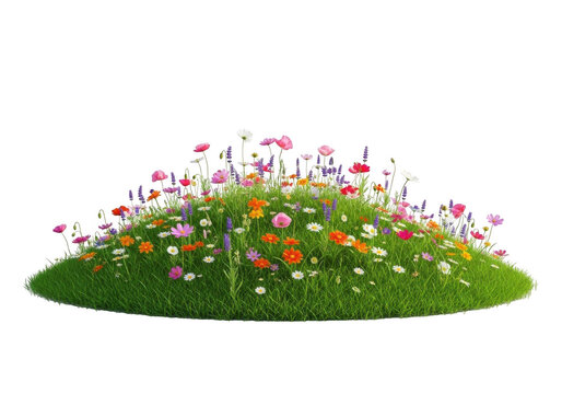 Small green hill with colorful spring wildflowers isolated on white background isolated on transparent background