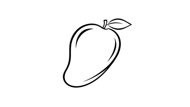 Mango fruit line art illustration white background.
