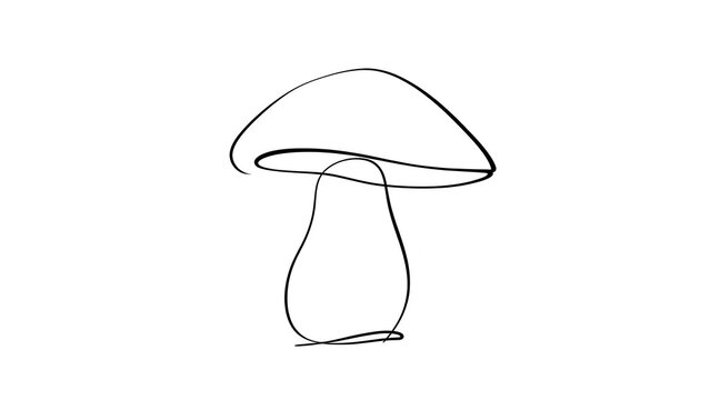Simple line art mushroom drawing white background.