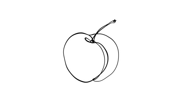 Simple line art peach illustration white background.