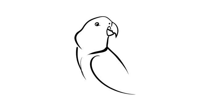 Minimalist parrot line art illustration white background.